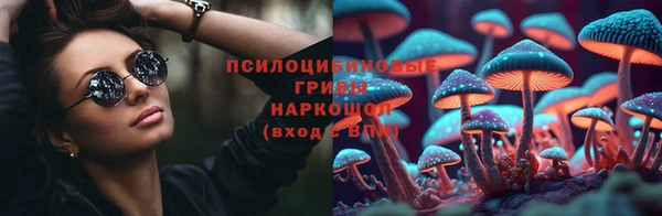 мдпв Горнозаводск