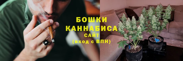 соль ск Волосово