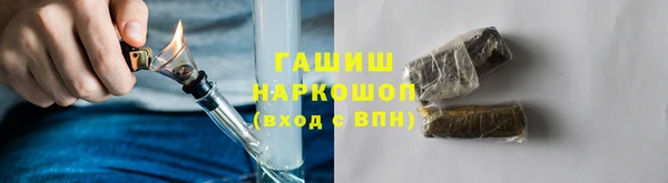 мдпв Горнозаводск