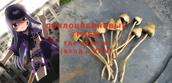 прущие крисы Горно-Алтайск