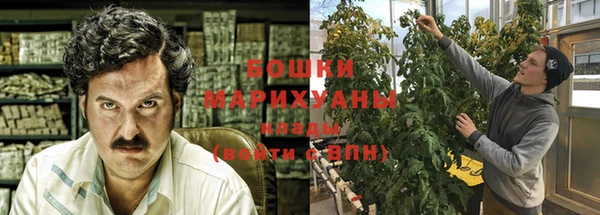 мдпв Горнозаводск
