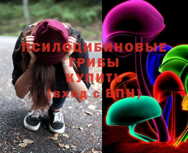 мдпв Горнозаводск